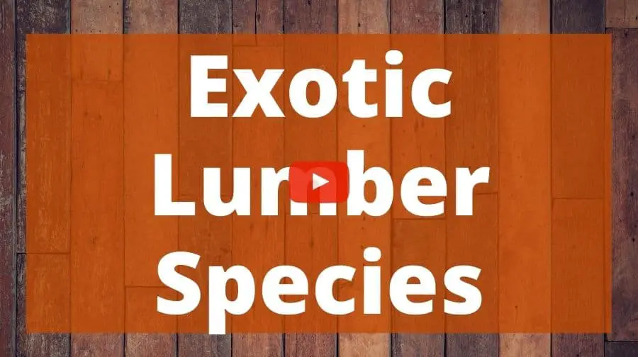 exotic-lumber-species-top-woodworking-advice
