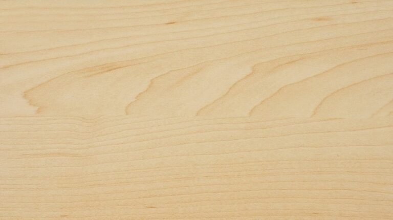 Beech VS Maple: Which Is The Better Wood? - Top Woodworking Advice