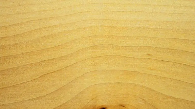 The Ultimate Guide To Maple Veneer - Top Woodworking Advice