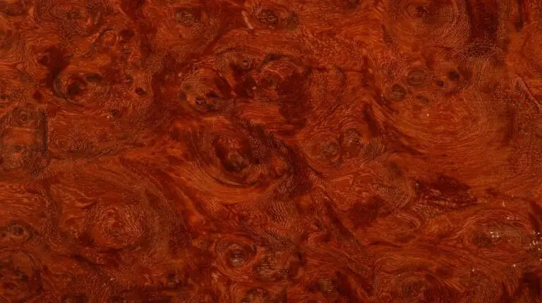 The Ultimate Guide to Burl Veneer: What You Need to Know - Top