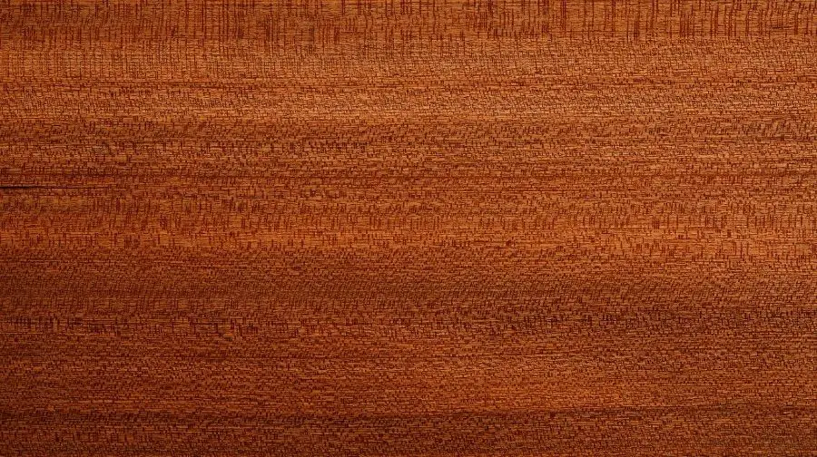 mahogany wood