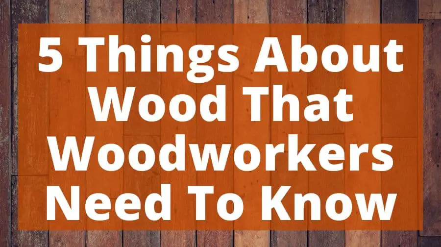 5 Things About Wood That Woodworkers Need To Know Top Woodworking Advice