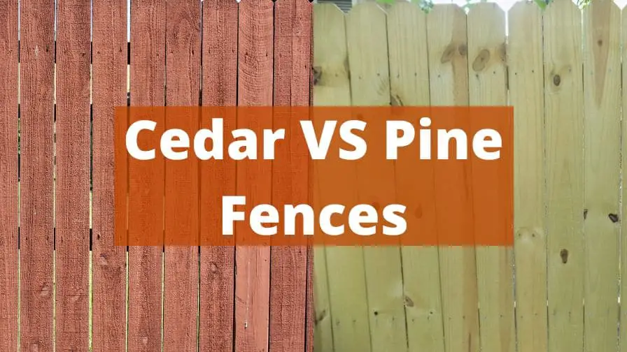 Cedar VS Pine Fences