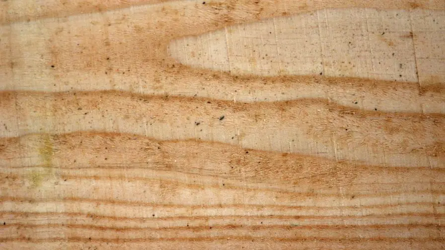 douglas fir wood