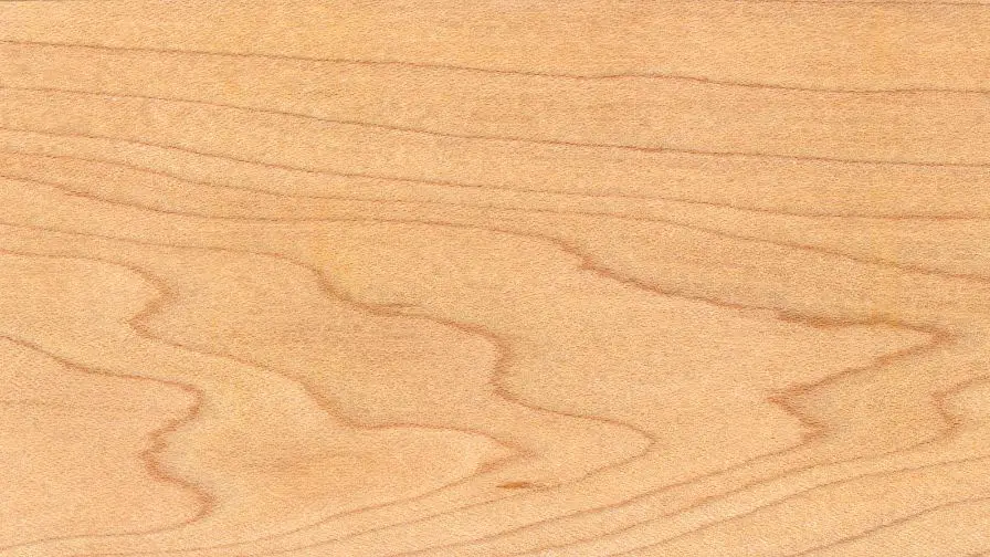 maple wood